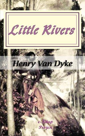 Cover of the book Little Rivers by Florence White Williams