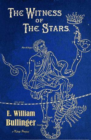 Cover of the book The Witness of the Stars by Öz'ün İfadesi