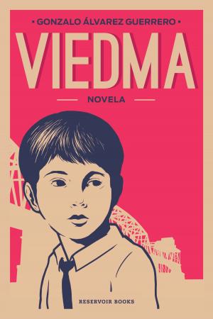 Cover of the book Viedma by Hania Czajkowski