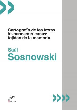 Cover of the book Cartografía de las letras hispanoamericanas by Virginia Sabattini