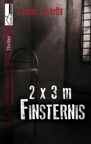 Cover of the book 2 x 3 Meter Finsternis by Alexandra Stefanie Höll
