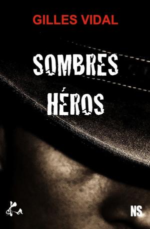 Cover of the book Sombres héros by Malicia Joy