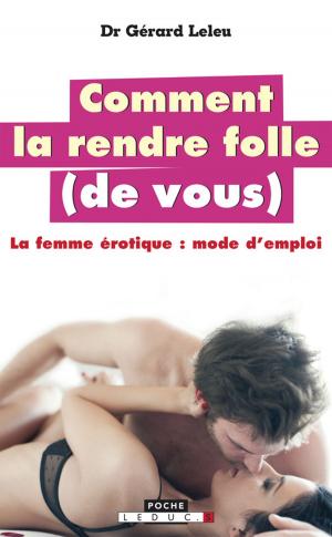 Cover of the book Comment la rendre folle (de vous) by Isabelle Lauras