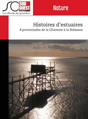 Cover of the book Histoires d'estuaires by Journal Sud Ouest, Yves Harté, Christophe Lucet