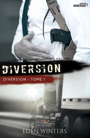 Cover of the book Diversion by Ness Ivanek