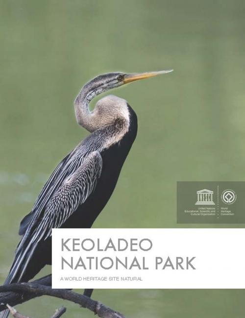Cover of the book Keoladeo National Park by Aditya Pundir & Aasheesh Mamgain, Creative Grove