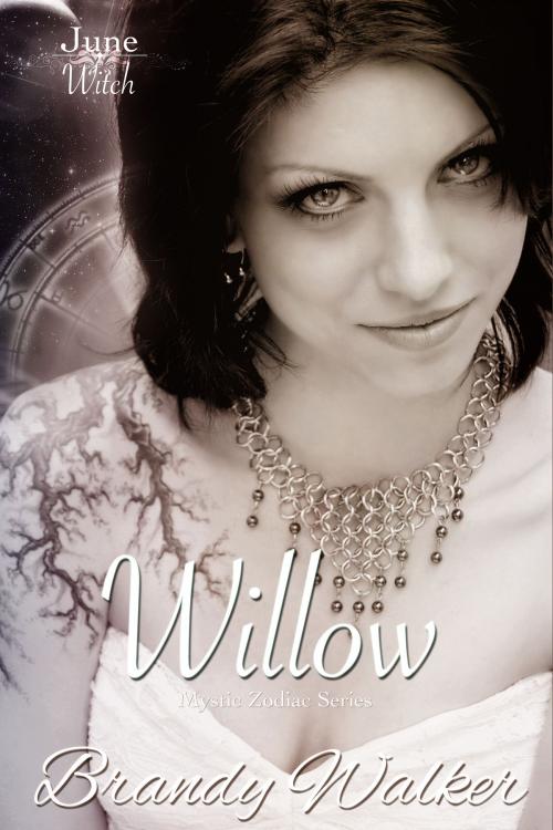 Cover of the book Willow by Brandy Walker, TEZ Publishing