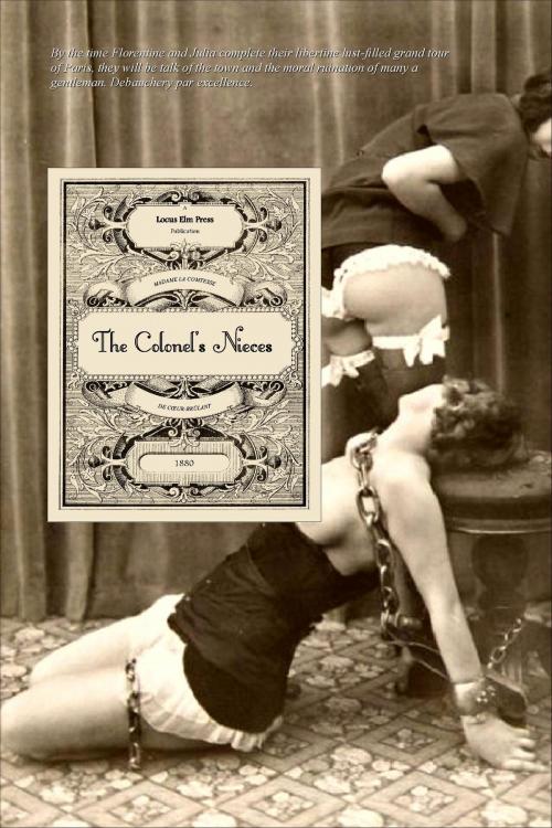 Cover of the book The Colonel's Nieces by Madame La Comtesse De Cœur-Brûlant (pseudonym), Locus Elm Press (editor), Alfred Richard Allinson (translator), Locus Elm Press