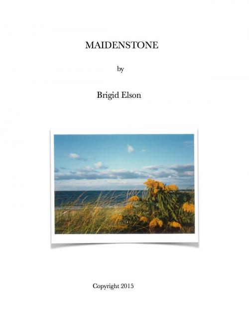 Cover of the book Maidenstone by Brigid Elson, Elson Ink