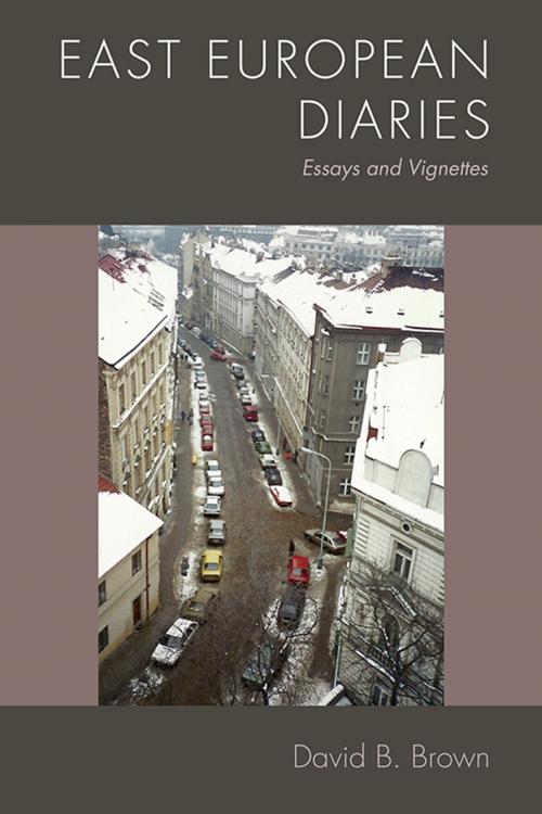 Cover of the book East European Diaries by David B Brown, Third Way Press