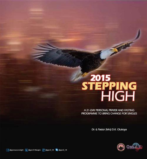 Cover of the book 2015 Stepping High by Dr. D. K. Olukoya, Pastor Folashade Olukoya, Mountain for Fire and Miracles Ministries
