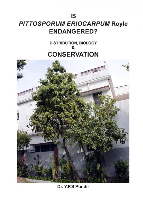 Cover of the book Pittosporum eriocarpum Royle ENDANGERED? by Dr. Y.P.S. Pundir, Creative Grove