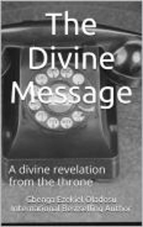 Cover of the book The Divine Message by Ezekiel Gbenga Oladosu, Mega Feast Press
