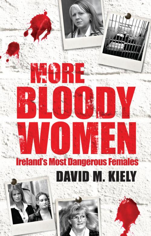 Cover of the book More Bloody Women by David M. Kiely, Poolbeg Press Ltd