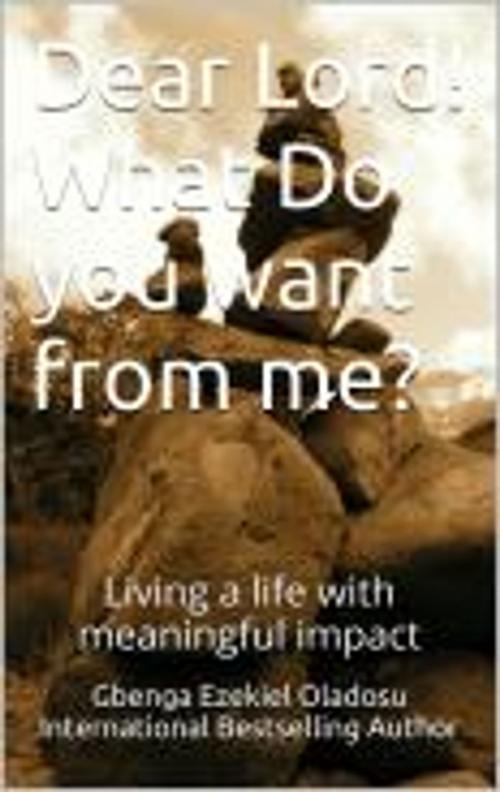Cover of the book Dear Lord! What Do you want from me? by Ezekiel Gbenga Oladosu, Mega Feast Press