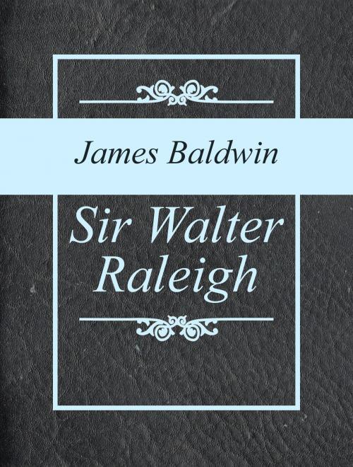 Cover of the book Sir Walter Raleigh by James Baldwin, Media Galaxy