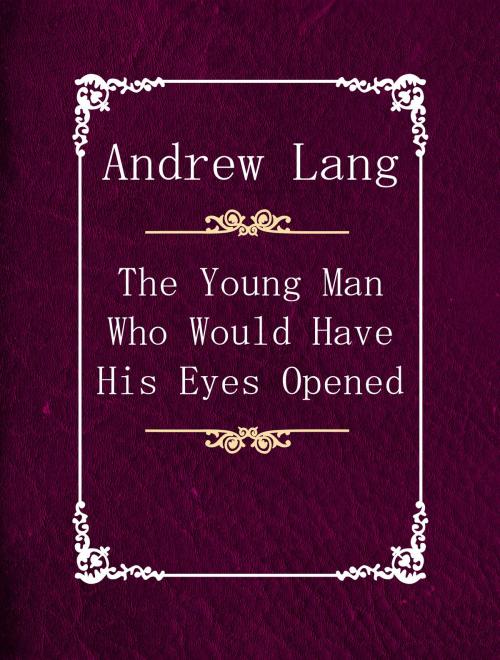 Cover of the book The Young Man Who Would Have His Eyes Opened by Andrew Lang, Media Galaxy