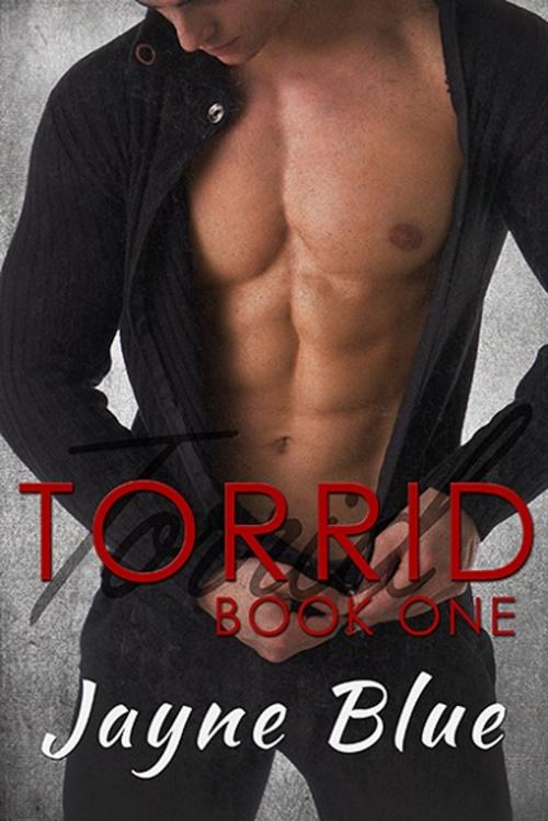 Cover of the book Torrid - Book One by Jayne Blue, Jayne Blue
