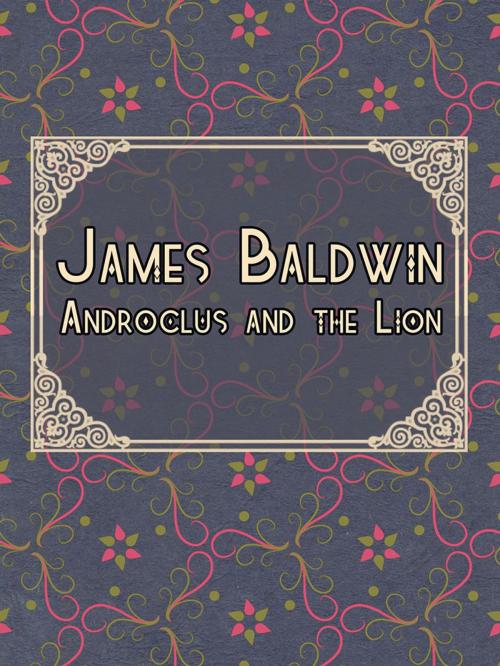 Cover of the book Androclus and the Lion by James Baldwin, Media Galaxy