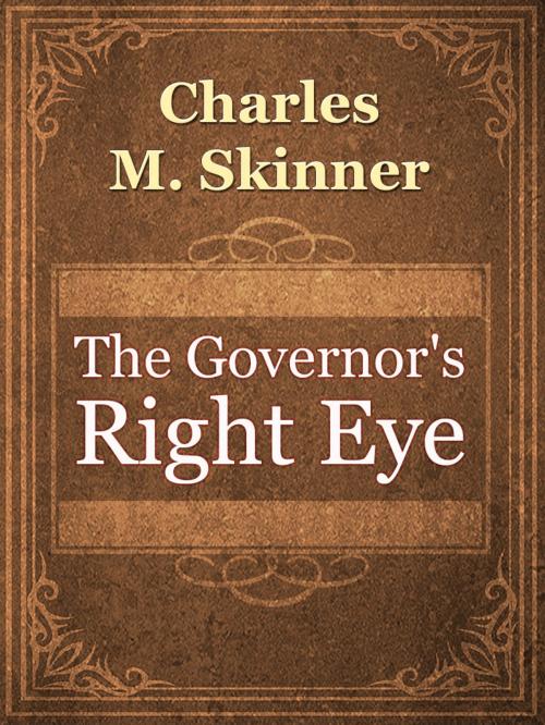 Cover of the book The Governor's Right Eye by Charles M. Skinner, Media Galaxy