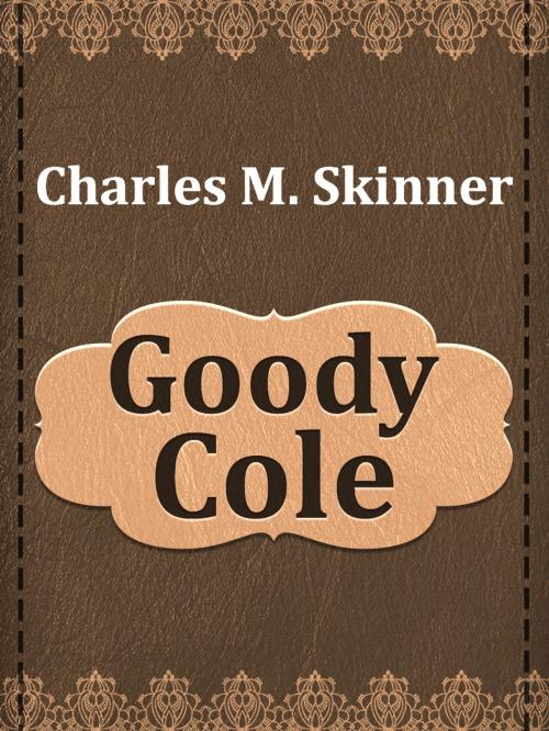 Cover of the book Goody Cole by Charles M. Skinner, Media Galaxy