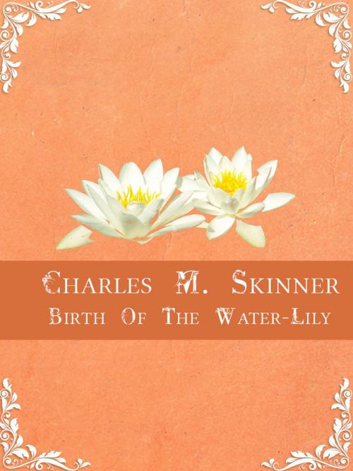 Cover of the book Birth Of The Water-Lily by Charles M. Skinner, Media Galaxy