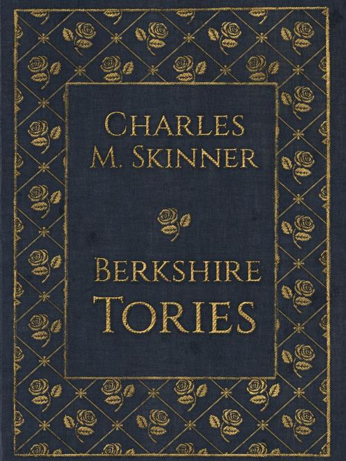 Cover of the book Berkshire Tories by Charles M. Skinner, Media Galaxy