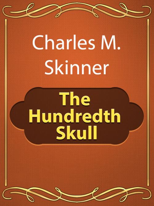 Cover of the book The Hundredth Skull by Charles M. Skinner, Media Galaxy
