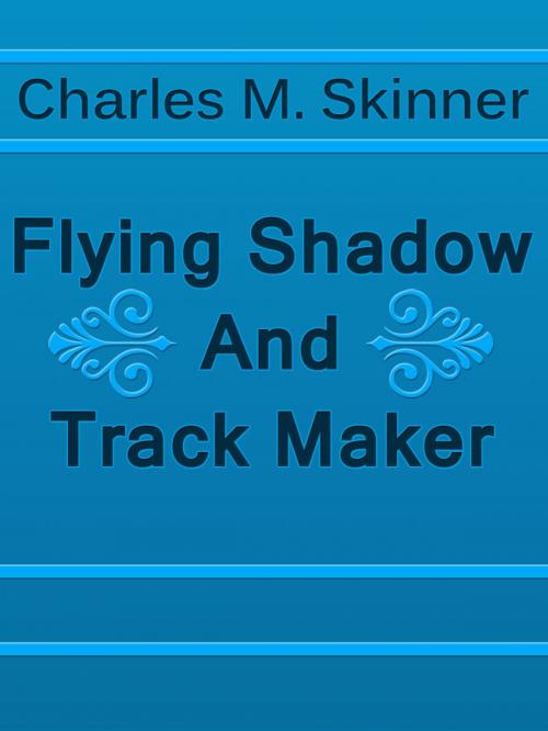 Cover of the book Flying Shadow And Track Maker by Charles M. Skinner, Media Galaxy