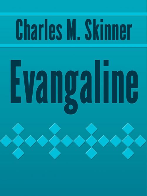Cover of the book Evangaline by Charles M. Skinner, Media Galaxy