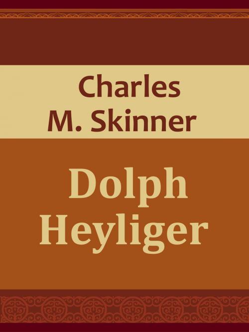 Cover of the book Dolph Heyliger by Charles M. Skinner, Media Galaxy