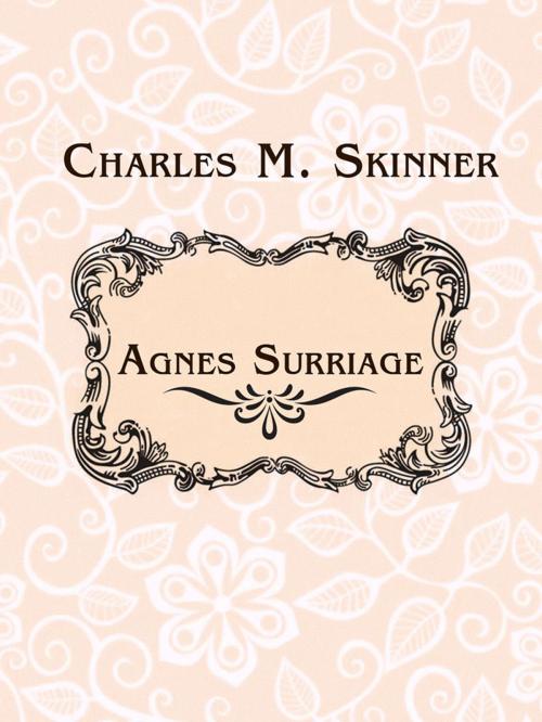 Cover of the book Agnes Surriage by Charles M. Skinner, Media Galaxy