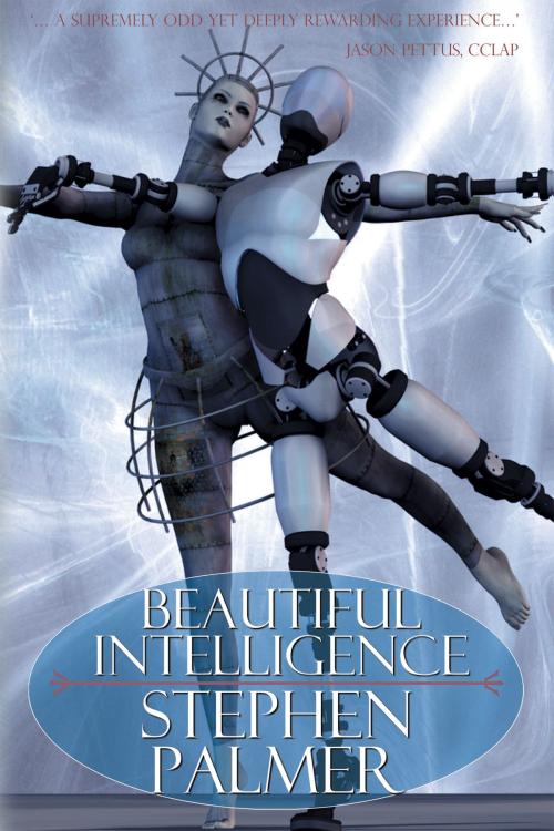 Cover of the book Beautiful Intelligence by Stephen Palmer, infinity plus