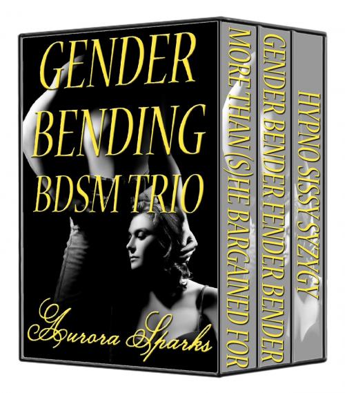 Cover of the book Gender Bending BDSM Trio by Aurora Sparks, Aurora Sparks Erotica