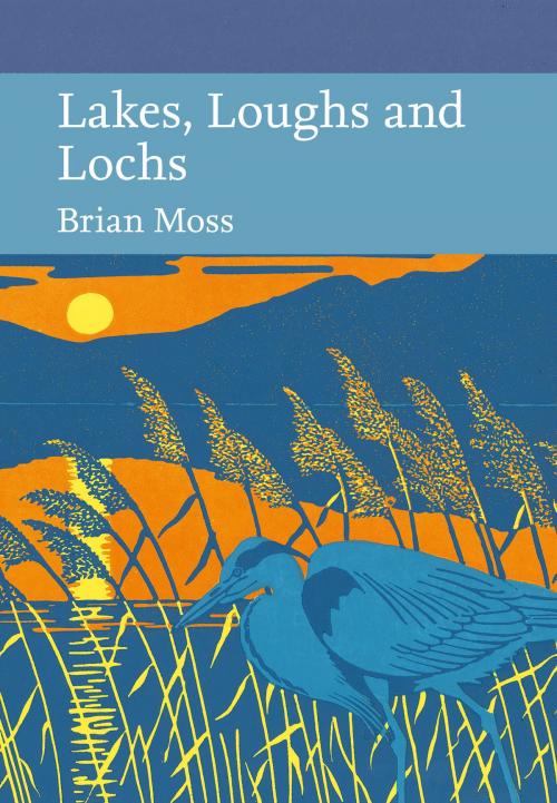 Cover of the book Lakes, Loughs and Lochs (Collins New Naturalist Library, Book 128) by Brian Moss, HarperCollins Publishers