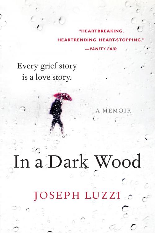 Cover of the book In a Dark Wood by Joseph Luzzi, Harper Wave