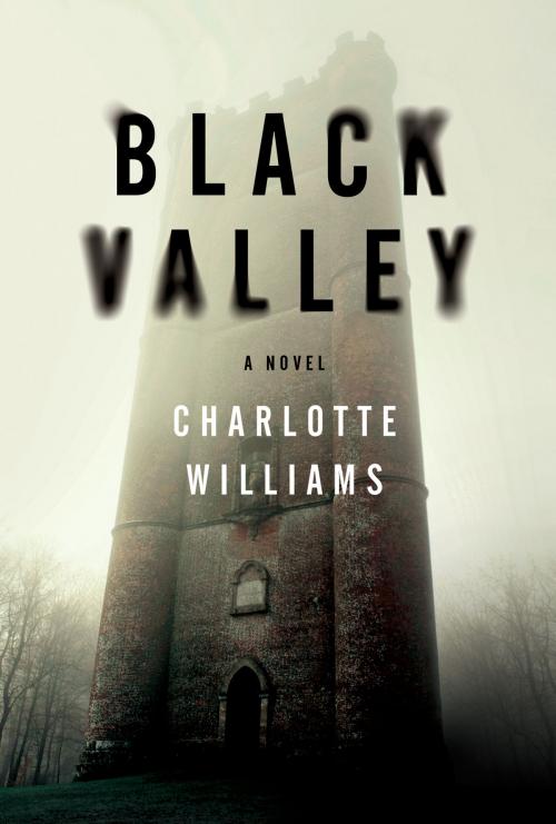 Cover of the book Black Valley by Charlotte Williams, Bourbon Street Books