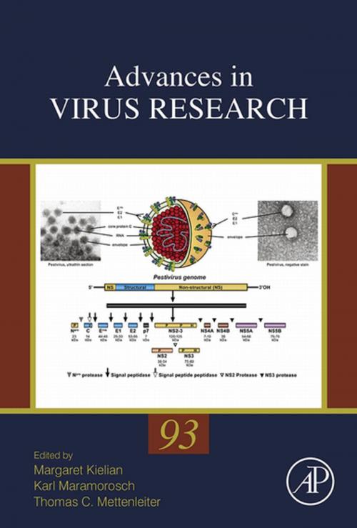 Cover of the book Advances in Virus Research by Karl Maramorosch, Thomas Mettenleiter, Margaret Kielian, Elsevier Science