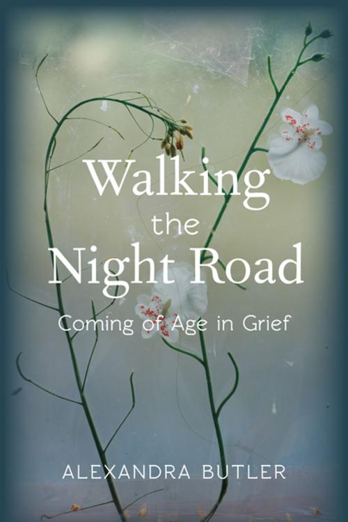 Cover of the book Walking the Night Road by Alexandra Butler, Columbia University Press