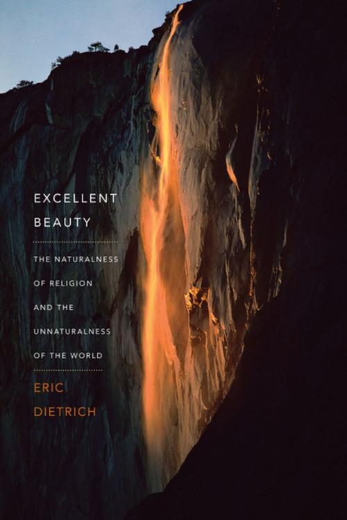 Cover of the book Excellent Beauty by Eric Dietrich, Columbia University Press
