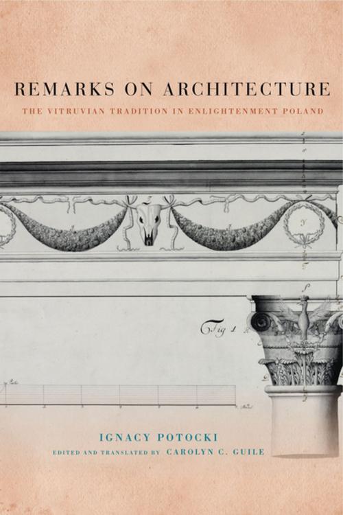 Cover of the book Remarks on Architecture by Ignacy Potocki, Penn State University Press