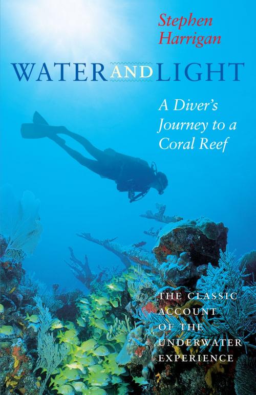 Cover of the book Water and Light by Stephen Harrigan, University of Texas Press