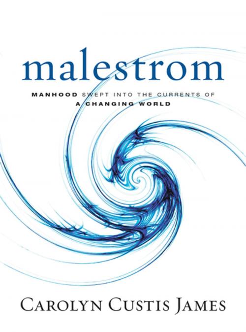 Cover of the book Malestrom by Carolyn Custis James, Zondervan