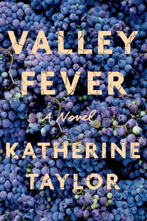 Cover of the book Valley Fever by Katherine Taylor, Farrar, Straus and Giroux
