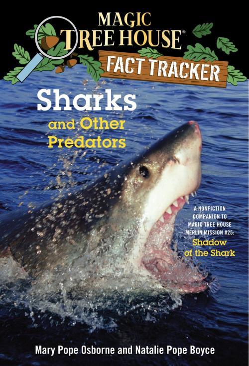 Cover of the book Sharks and Other Predators by Mary Pope Osborne, Natalie Pope Boyce, Random House Children's Books