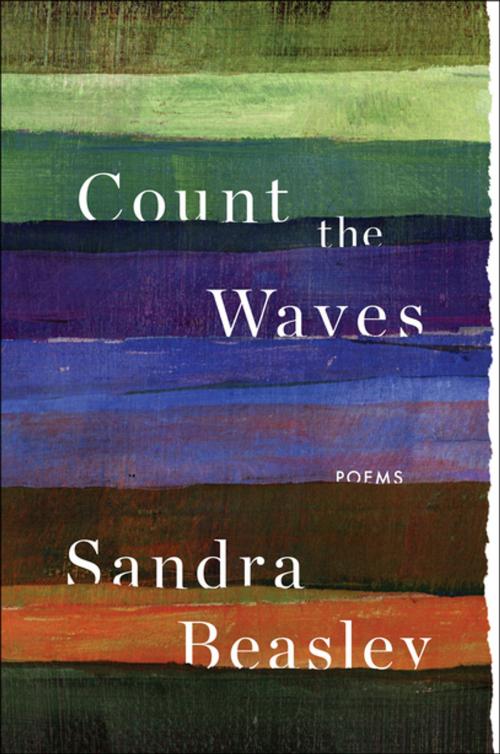 Cover of the book Count the Waves: Poems by Sandra Beasley, W. W. Norton & Company