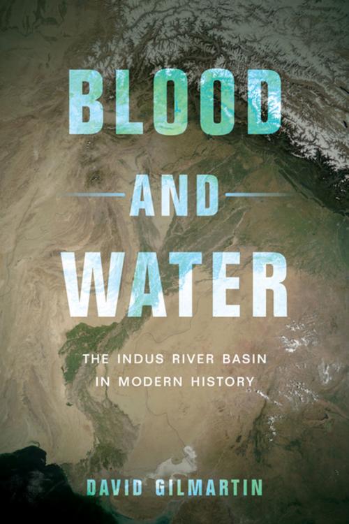 Cover of the book Blood and Water by David Gilmartin, University of California Press