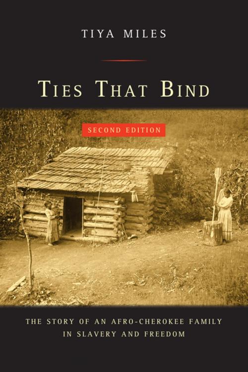 Cover of the book Ties That Bind by Tiya Miles, University of California Press