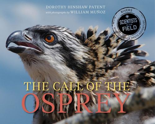 Cover of the book The Call of the Osprey by Dorothy Hinshaw Patent, HMH Books