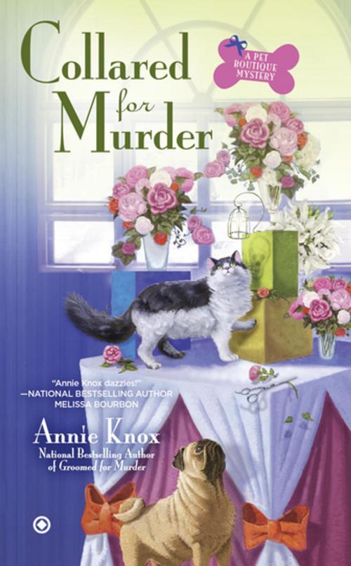 Cover of the book Collared For Murder by Annie Knox, Penguin Publishing Group